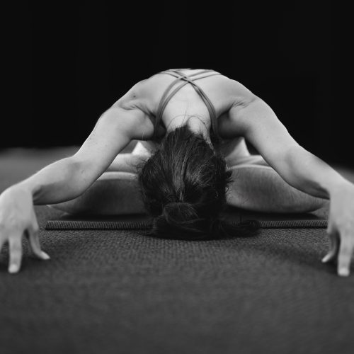 Flexibilidadportfolio