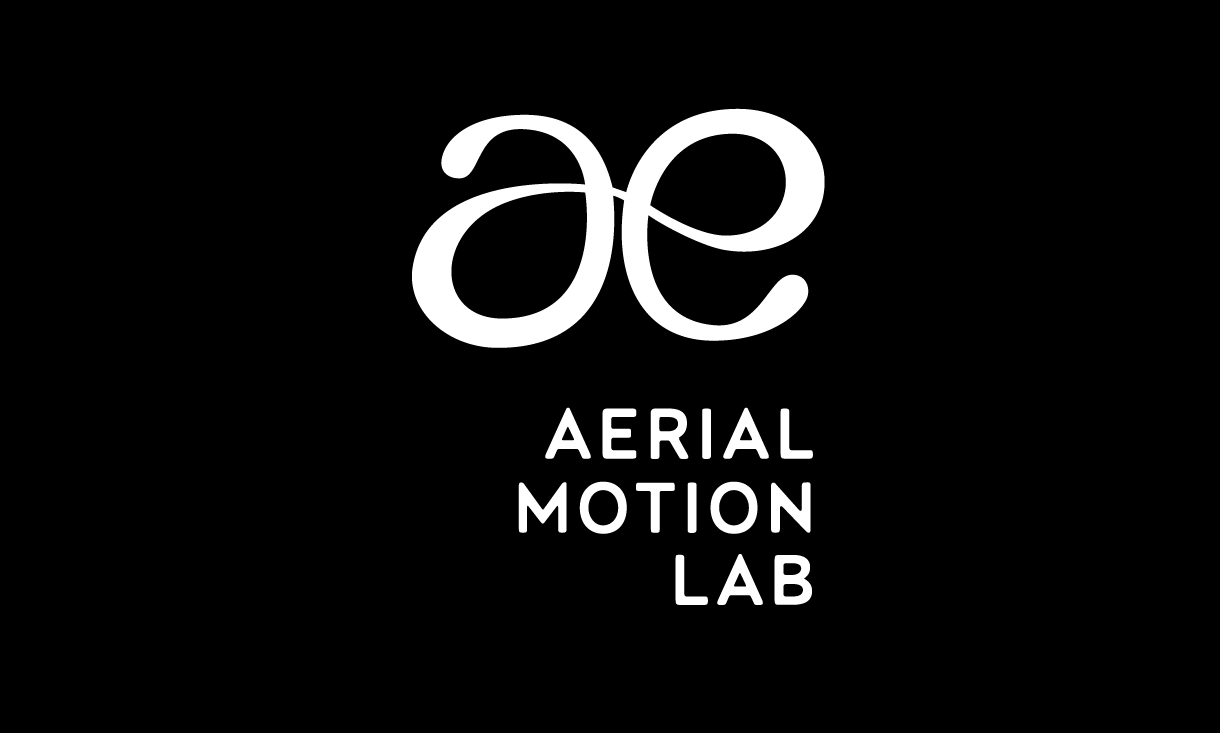 Aerial Motion Lab