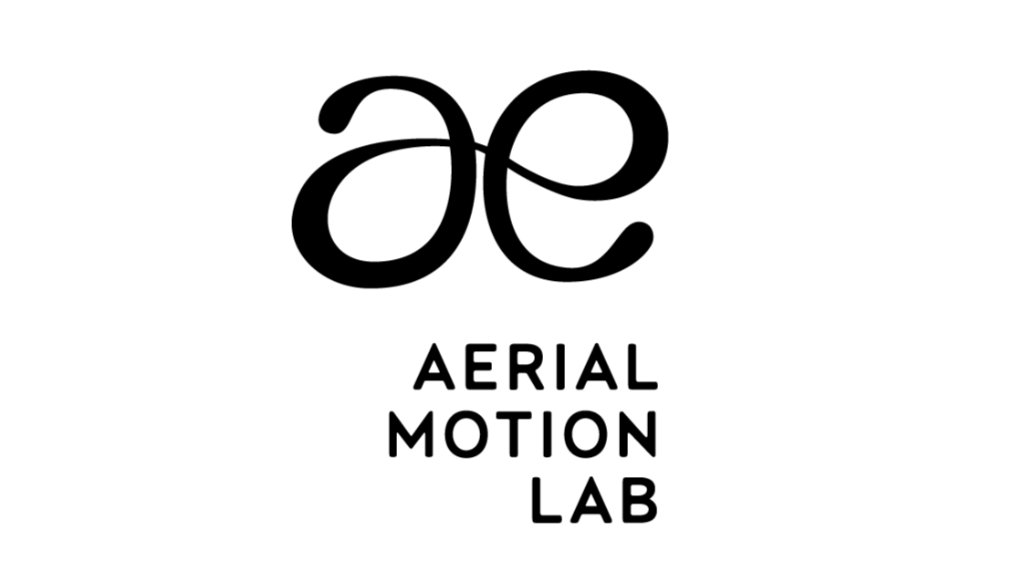Aerial Motion Lab